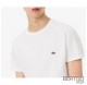 LACOSTE T-shirt Uomo